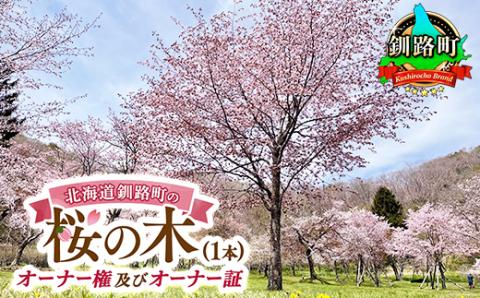 北海道釧路町の桜の木(1本)のオーナー権及びオーナー証[ふるさと納税 自然 保護]