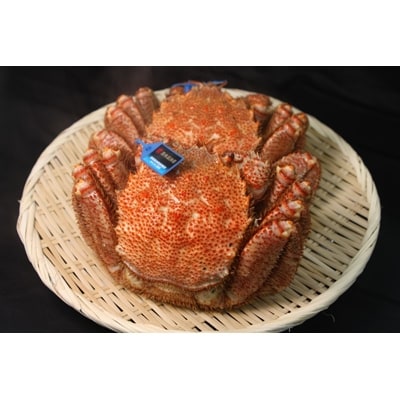 北海道 昆布森の毛蟹 (2〜3尾/合計1kg)[2021年10月発送][配送不可地域:離島]