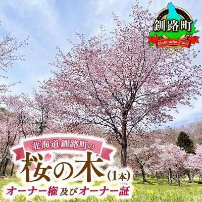 北海道釧路町の桜の木(1本)のオーナー権及びオーナー証＜ふるさと納税 自然 保護＞