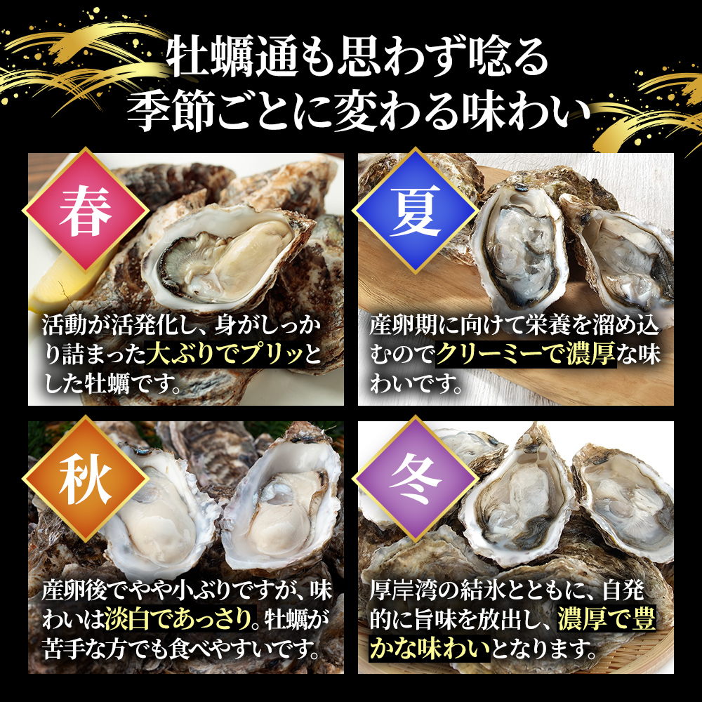 北海道厚岸産 生食用　殻付カキ3Lサイズ10個　マルえもん