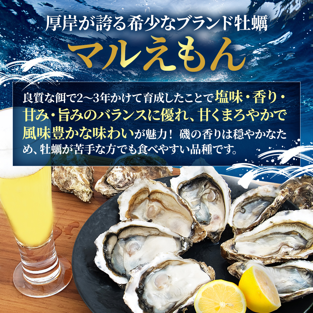 【 3ヵ月 定期便 】 北海道厚岸産 生食用 殻付カキ LLサイズ  12個　マルえもん 魚貝類 海の幸 海のミルク 海鮮 国産 北海道産 オイスター つまみ お酒 あて 肴 生牡蠣 メルマガ掲載商品1