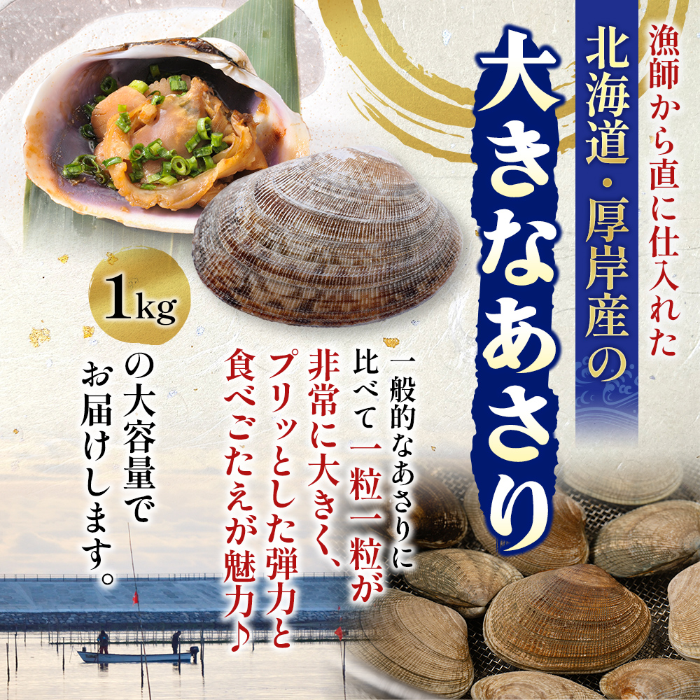 北海道 厚岸産 あさり 500g×2パック (合計1kg) 大中混合 アサリ 魚貝 海 美味しい 栄養 旨み 砂出し 水洗い 冷蔵 冷凍保存可能 便利