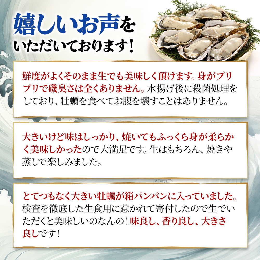 牡蠣 厚岸のブランド牡蠣 マルえもん 2Lサイズ 40個 生食用