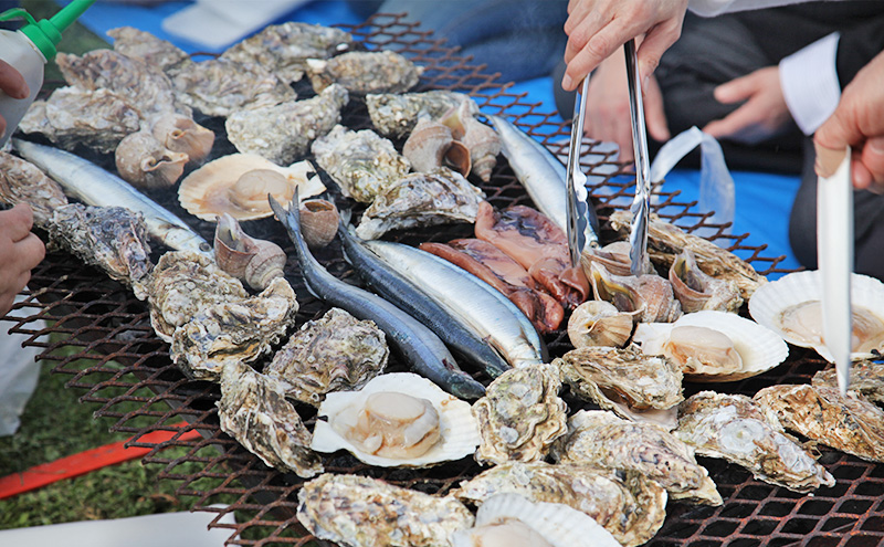 北海道厚岸町 寄附のみの応援受付 10,000円コース（返礼品なし 寄附のみ 10000円）