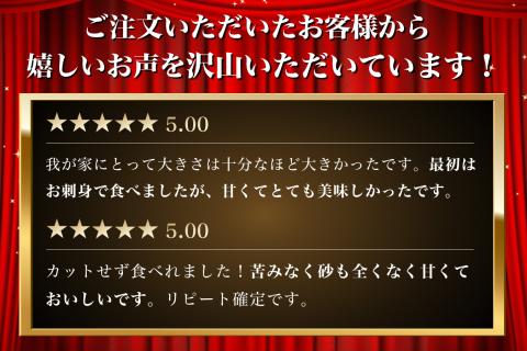 【 3ヵ月 定期便 】北海道 訳あり 冷凍 帆立 貝柱 1.1kg (各回1.1kg×3ヶ月分,合計約3.3kg)  お刺身 新鮮 魚貝類