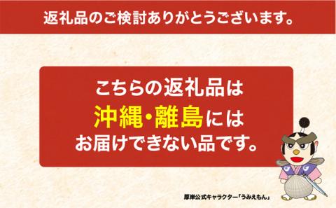 北海道厚岸産 生食用　殻付カキ3Lサイズ10個　マルえもん