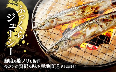 先行予約 産地直送 北海道 厚岸産 刺身用 鮮さんま 2kg（16～20尾） サンマ 秋刀魚 さんま 鮮魚 魚介類 海産 生さんま