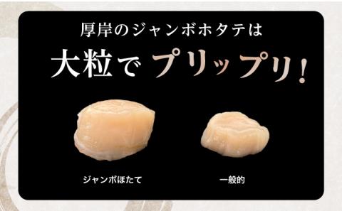 ジャンボホタテ貝柱 500g (12玉前後) 北海道 帆立 ホタテ ほたて 貝柱 ホタテ貝柱 玉冷 魚貝類