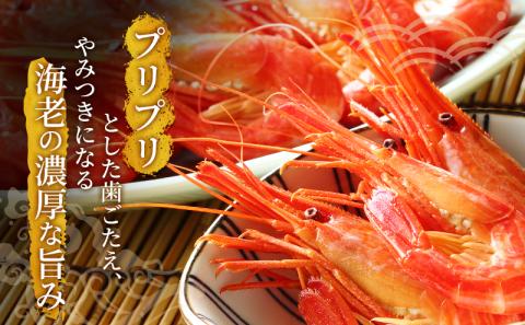 えび 3D冷凍 北海道 厚岸産 浜茹で 北海しまえび 大サイズ 500g (25尾前後) 海老 エビ