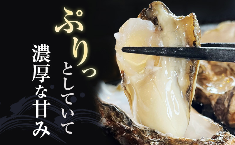 厚岸町 新ブランド 『 弁天かき 』 Lサイズ 15個  北海道 牡