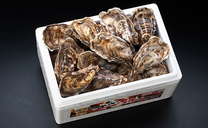 北の海のミルク！厚岸産 牡蠣 3Lサイズが50個！ 生食用