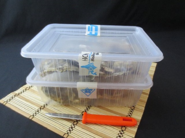 レンジで楽チン 蒸し牡蠣（2パックセット） 北海道 牡蠣 カキ かき 生食 生食用 生牡蠣 殻付  レンジ調理 魚貝類 シーフード