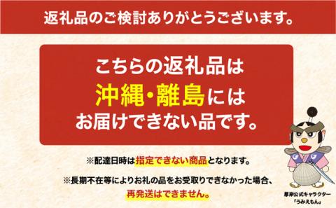 厚岸産ブランドかき カキえもん Lサイズ 15個セット 北海道 牡蠣 カキ かき 生食 生食用 生牡蠣 魚介類