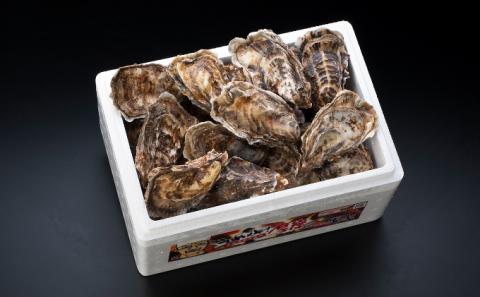 定期便 4回 季節によって味が違う！春夏秋冬「 牡蠣 」 【配送不可：沖縄・離島】