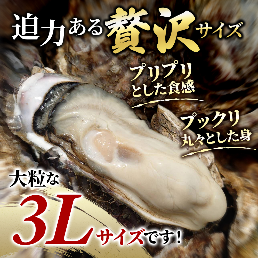 牡蠣 厚岸のブランド牡蠣 マルえもん 3Lサイズ 20個 生食用