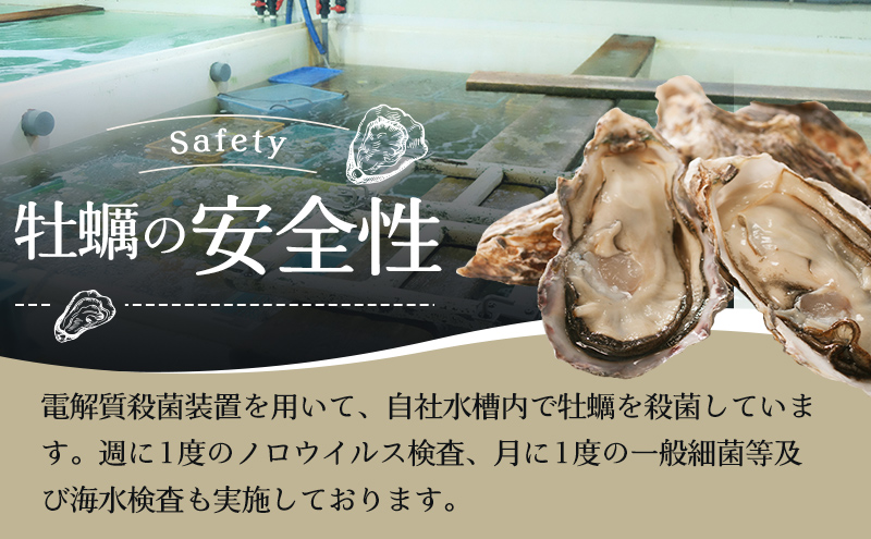 北海道 牡蠣 3種 食べ比べ  厚岸オイスターハーフ ★オールスターズ  生食