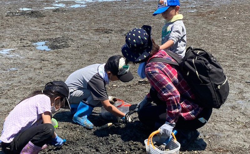 厚岸 あさり掘り 1名様 体験チケット