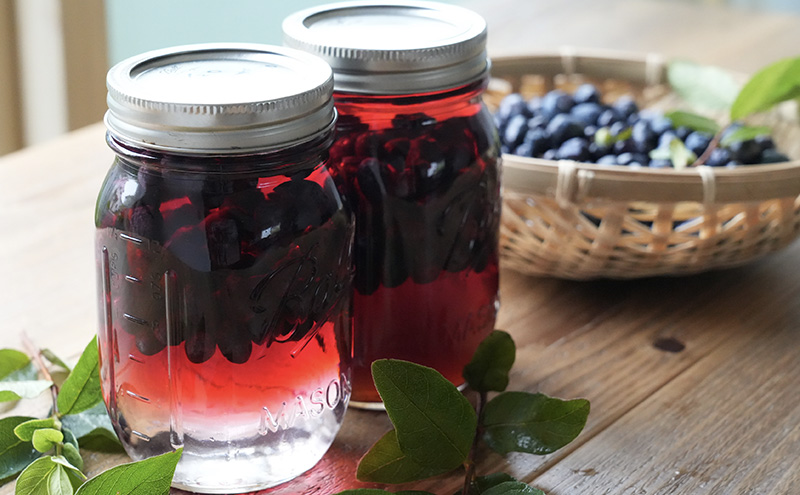 厚岸ハスカ 冷凍ハスカップ 3kg