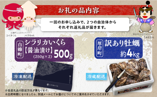 北海道 厚岸産 牡蠣 約4kg 訳あり × 北海道産 シラリカいくら 【醤油漬け】 500g (250g×2)  海鮮 セット いくら イクラ 牡蠣 生牡蠣 カキ 殻付き 海鮮 生食用 海鮮 海鮮丼 魚介 貝 厚岸町 白糠町