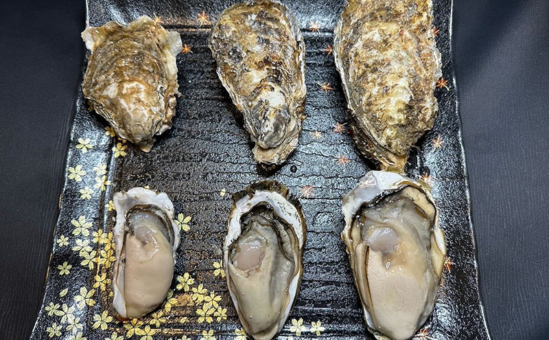 北海道 厚岸産 殻付き 牡蠣 LLサイズ 20個 お中元 特別選別品