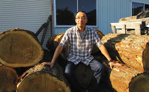 マドラー 1本 ミズナラ