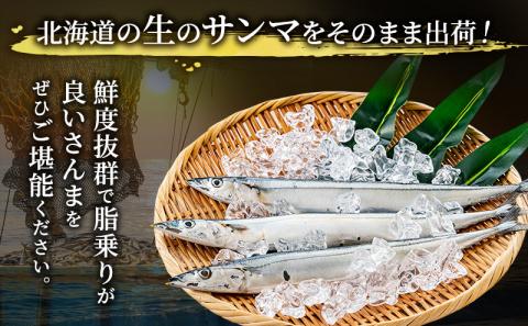 先行予約 産地直送 北海道 厚岸産 刺身用 鮮さんま 2kg（16～20尾） サンマ 秋刀魚 さんま 鮮魚 魚介類 海産 生さんま
