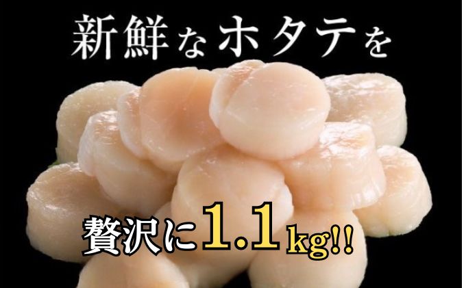 【 2ヵ月 定期便 】北海道 訳あり 冷凍 帆立 貝柱 1.1kg (各回1