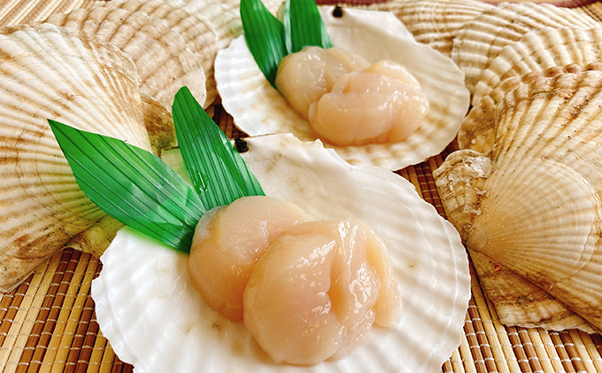 ☆使い道は様々☆ホタテの貝殻　15枚前後