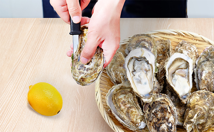 3ヶ月 定期便 厚岸産 殻付き 牡蠣 Ｌサイズ 20個入 (各回20個×3ヶ月分,合計60個) カキナイフ付き 加熱容器付き 魚貝類 生牡蠣 かき 殻付き牡蠣 マルえもん 3カ月 3回 メルマガ掲載商品2