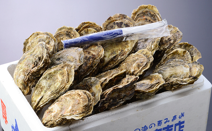 厚岸町牡蠣お楽しみセット～連続4ヵ月お届け～