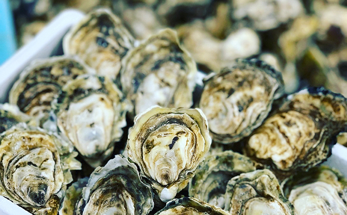 厚岸町産 「カキえもん物語」 カキえもん 干しカキえもん セット