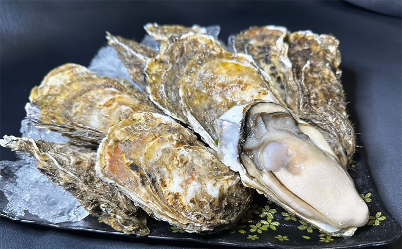 北海道 厚岸産 あさり1kg 殻付き 牡蠣 LLサイズ 20個