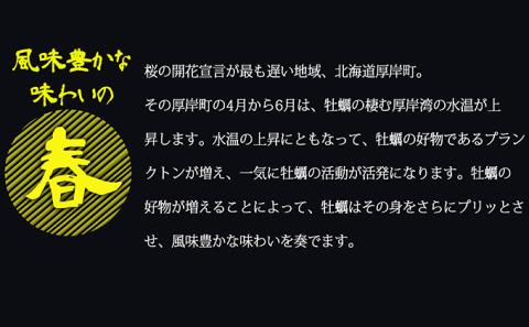 定期便 4回 季節によって味が違う！春夏秋冬「 牡蠣 」 【配送不可：沖縄・離島】