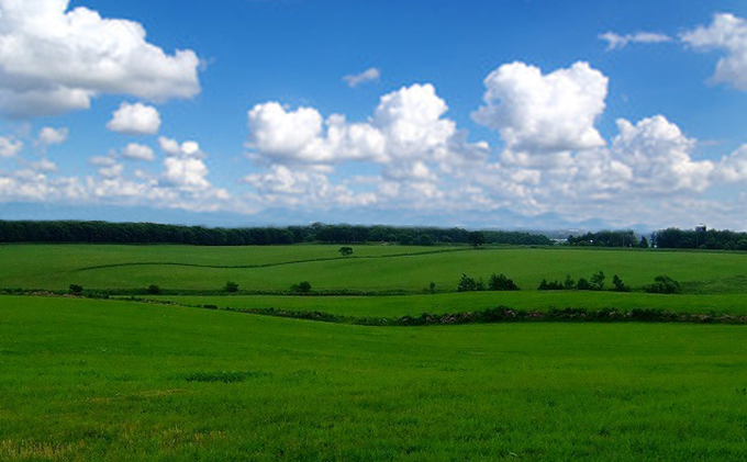あっけし極みるくあいす10個  北海道 牛乳 乳製品 ミルク アイス アイスクリーム