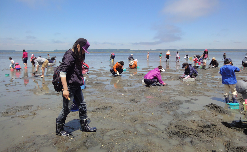 厚岸 あさり掘り 2名様 体験チケット