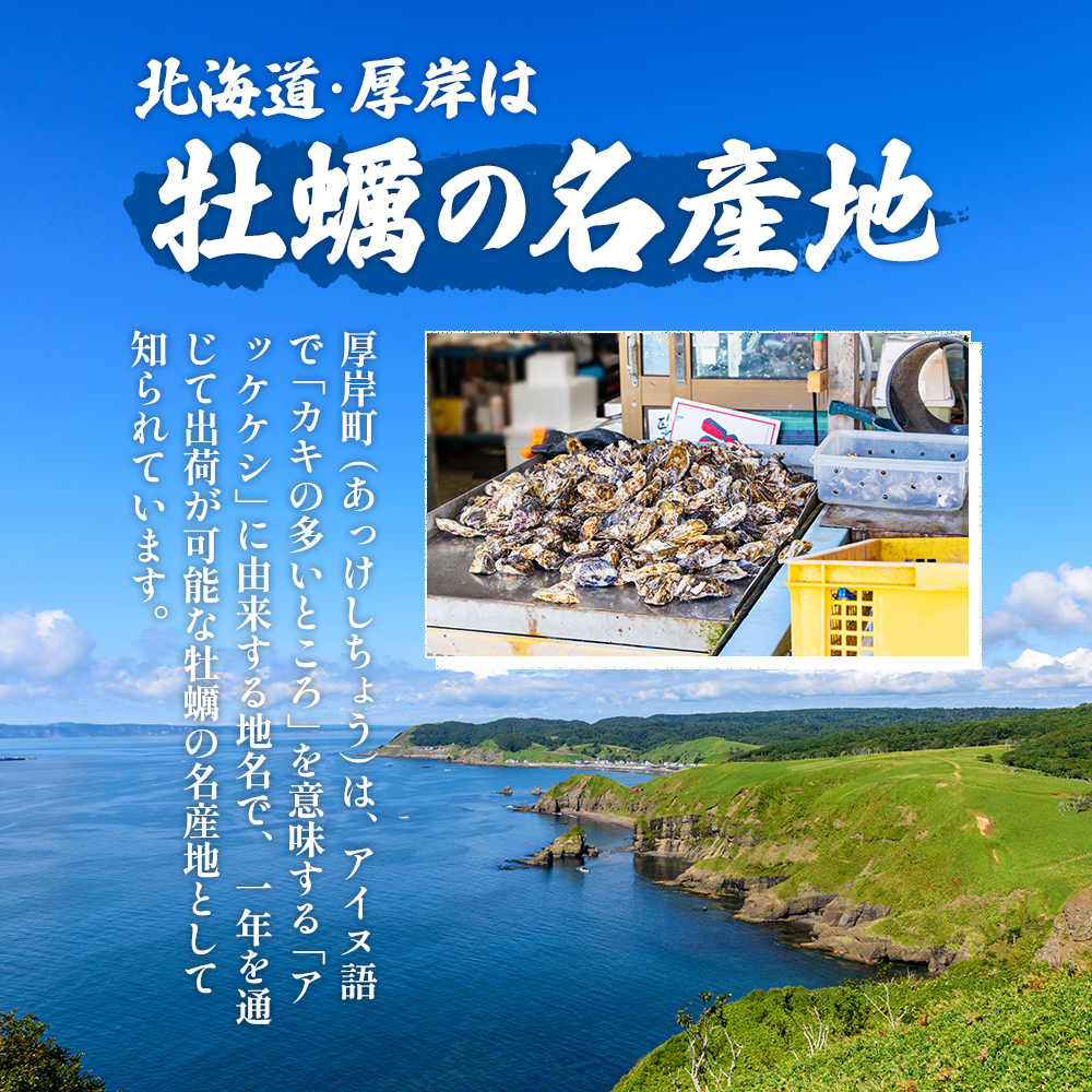 剥き牡蠣 300g 北海道 厚岸産 ムキ牡蠣 むき身 海鮮 海の幸 生牡蠣 かき カキ 生 ムキカキ マルえもん