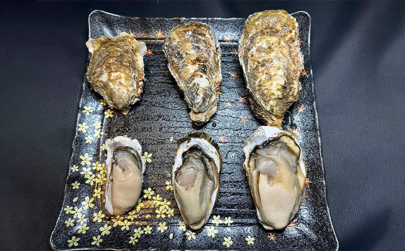 訳あり 北海道 厚岸産 殻付き 牡蠣 350g