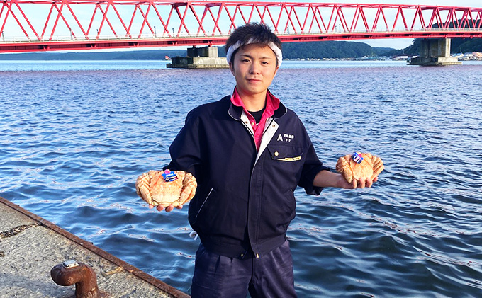 厚岸漁協イチオシ！【3D冷凍】北海道産 毛がに（約650g）1尾・いくら200gセット 毛カニ 蟹 毛蟹 魚卵 魚介類 魚介