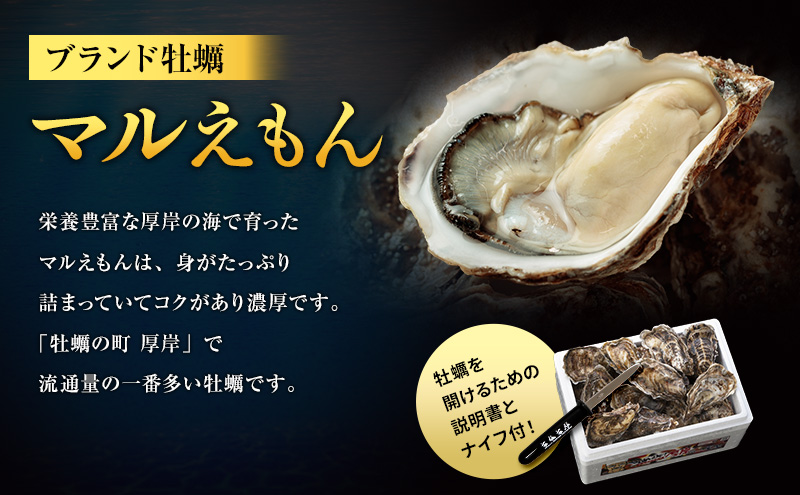 2月配送 訳あり ハーフ 規格外 牡蠣 北海道厚岸産 殻付カキ 約2kg（11～25個）カキナイフ付 生食 魚貝類 生牡蠣 かき 生カキ カキフライ マルえもん いびつな形 四季によって違う味わい コクがあり濃厚