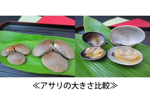 北海道厚岸産　特大あさり（砂出し済み）ムキ牡蠣（生食用）セット 魚貝類 生牡蠣 かき アサリ 浅利