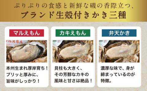 北海道厚岸産【殻かき三種】食べ比べセット 魚貝類 生牡蠣 送料無料 新鮮 濃厚 大粒