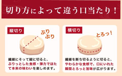 北海道産 冷凍 帆立貝柱 500g (18玉前後) ホタテ ほたて 玉冷 魚貝類