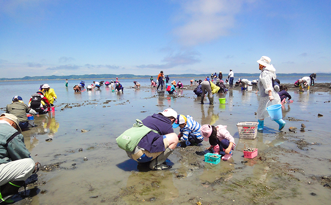 厚岸「あさり掘り」潮干狩り 2名様 体験チケット（お土産付き）
