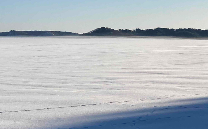 北海道 厚岸産 丸干しコマイ 190g×5パック ソウルフード