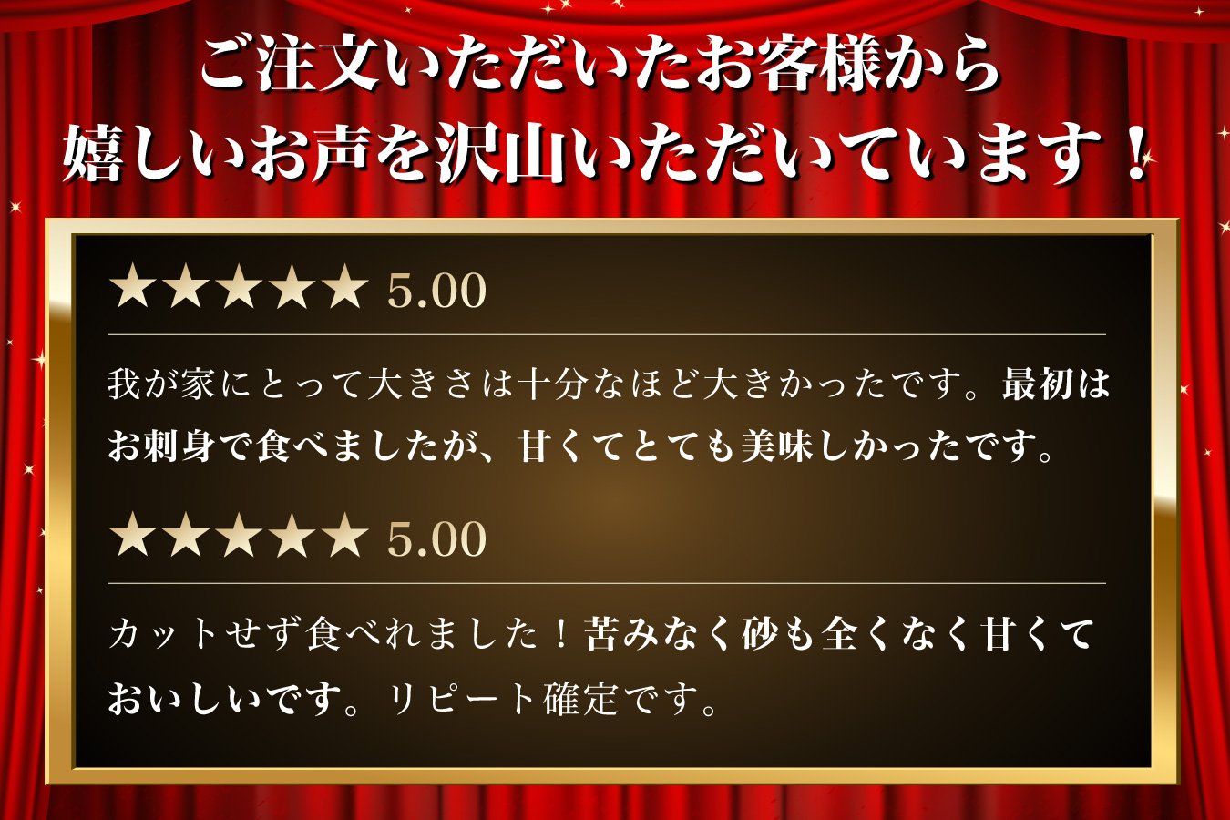 【 お中元専用 】 北海道 訳あり 冷凍 帆立 貝柱 1.1kg ホタテ ほたて 玉冷 魚貝類 貝類 海の幸 海鮮 つまみ お酒のあて 肴 ホタテの貝柱 贈り物 ギフト