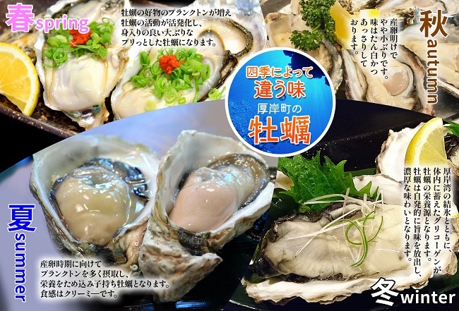 北海道厚岸産　殻付き＋ムキ身の牡蠣セット（生食用）
