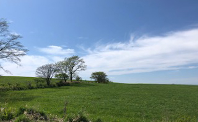 あっけし極みるくあいす10個  北海道 牛乳 乳製品 ミルク アイス アイスクリーム