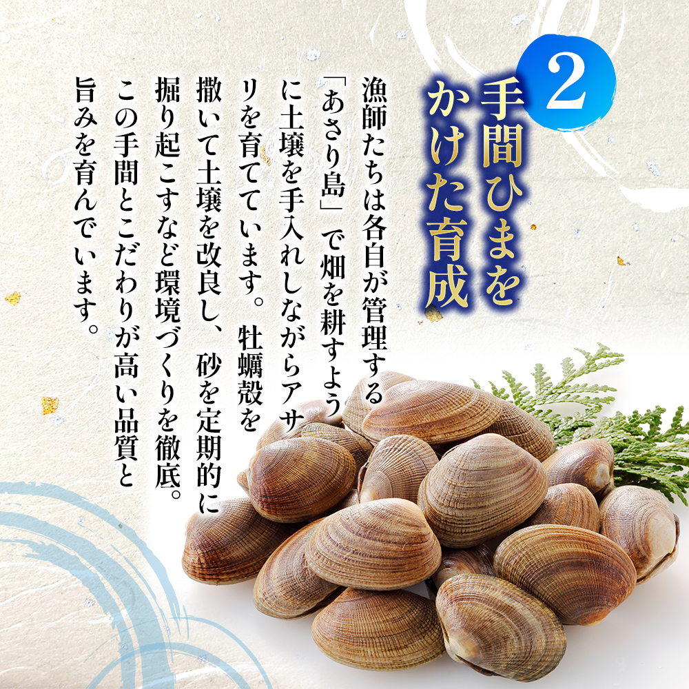 あさり 漁師から直で仕入れ！厚岸産の大きなあさり 1kg