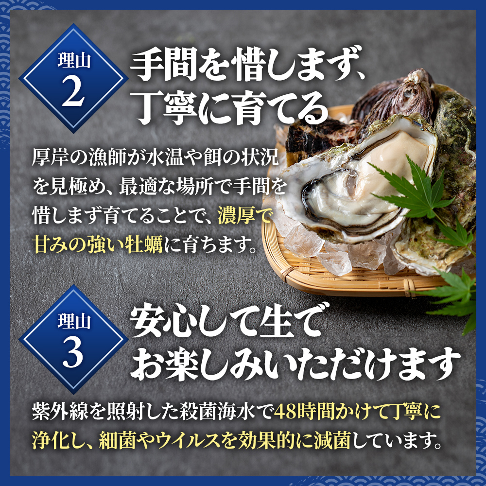 牡蠣 厚岸のブランド牡蠣 マルえもん Lサイズ 40個 生食用