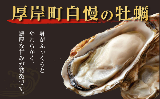 北海道 厚岸産 殻かき 三種 食べ比べ プレミアムセット 牡蠣 魚貝類 生牡蠣 殻付き牡蠣 カキ